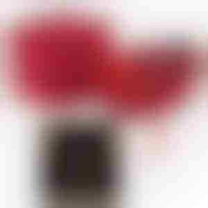 Férjtől feleségnek | ALAYA_CLOVERIE_APPLEROSE