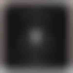 Társtól társnak | LUX_HEARTS