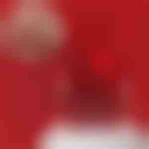 Aranyozott nyaklánc és pörgő medve ékszerdoboz | LUVION_ROSBEAR